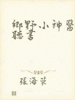 乡野小神医免费听书