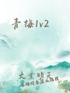 青梅1v2