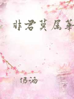 非君莫属华眠