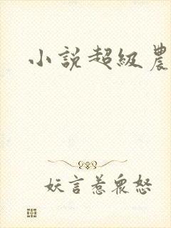小说超级农民