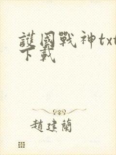 护国战神txt下载