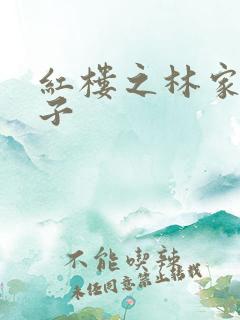 红楼之林家庶长子