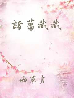 诸葛藏藏