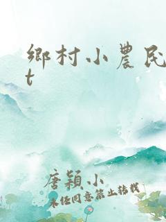 乡村小农民txt