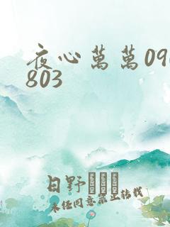 夜心万万090803