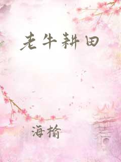 老牛耕田