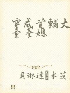 穿成首辅大人的童养媳