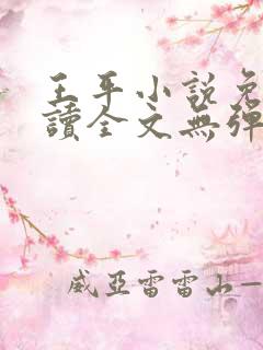 王平小说免费阅读全文无弹窗