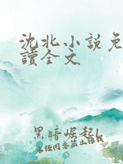 沈北小说免费阅读全文