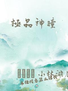 极品神瞳
