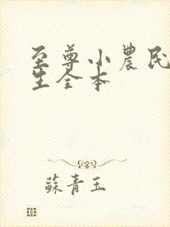 至尊小农民王木生全本