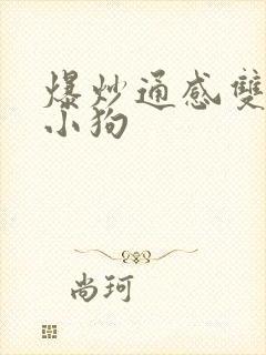 爆炒通感双胞胎小狗