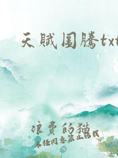 天赋图腾txt
