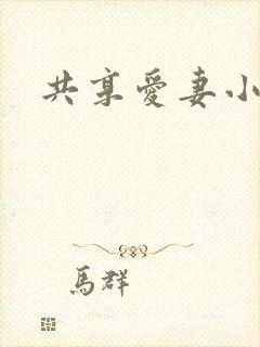 共享爱妻小说