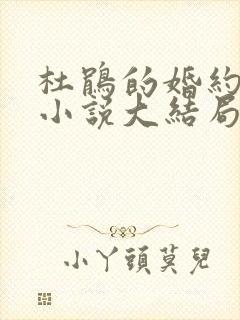 杜鹃的婚约原著小说大结局