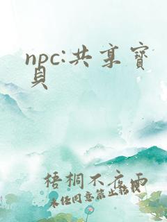 npc:共享宝贝
