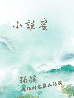 小说蜜