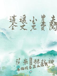 逍遥小农夫小说全文免费阅读