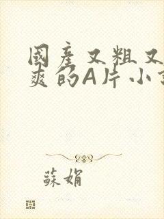 国产又粗又黄又爽的A片小说