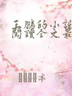 王鹏的小说免费阅读全文最新章节