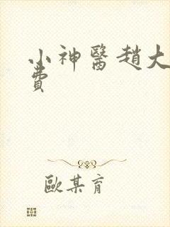 小神医赵大宝免费