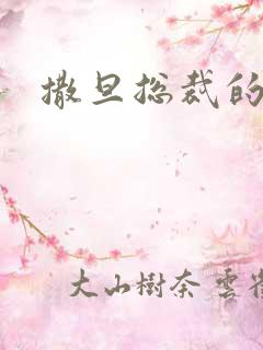 撒旦总裁的妹妹