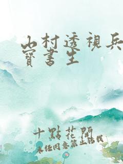 山村透视兵王 宝书生