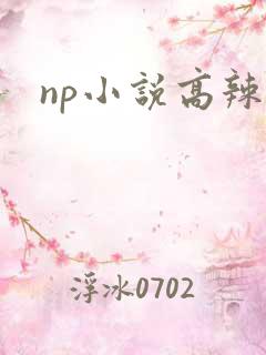 np小说高辣h