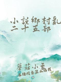 小说乡村乱情第二十五部