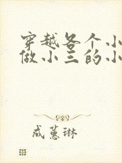 穿越各个小世界做小三的小说