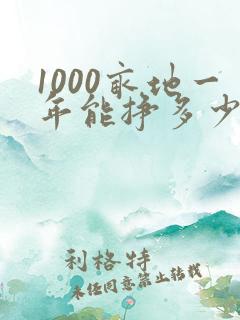 1000亩地一年能挣多少钱