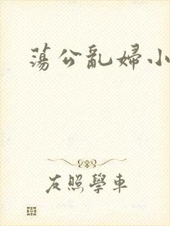 荡公乱妇小说