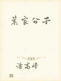 叶家公子