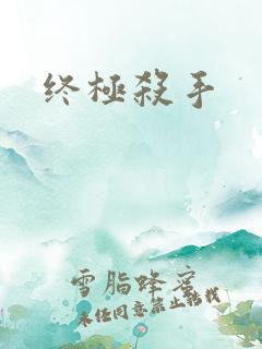 终极杀手