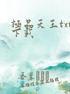 极品天王txt下载