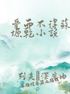 爱而不得苏路顾塬乾小说