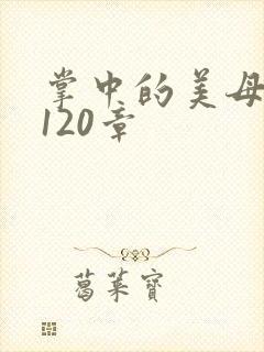 掌中的美母版主120章
