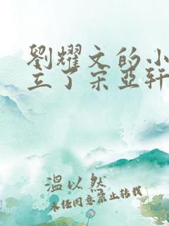 刘耀文的小小文立了宋亚轩