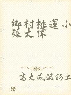 乡村桃运小神医张大伟