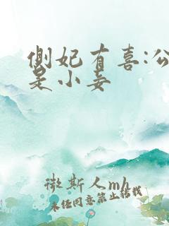 侧妃有喜:公主是小妾