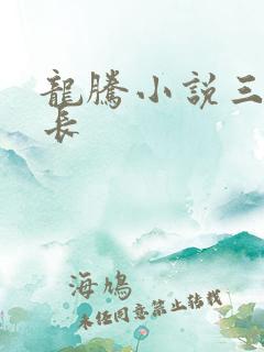 龙腾小说三宝局长