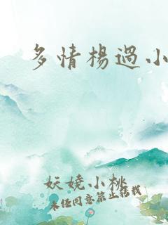 多情杨过小说