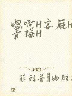 嗯啊H客厅HH青梅H