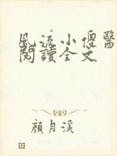 风流小傻医小说阅读全文