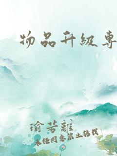 物品升级专家
