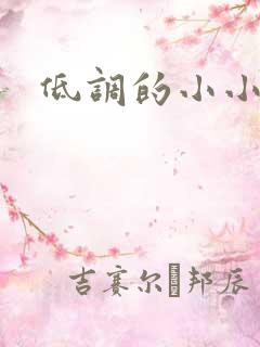 低调的小小宫女