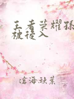王者荣耀孙尚香被后入