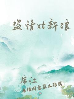 盗情xt新浪