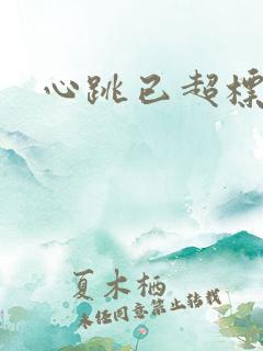 心跳已超标小说
