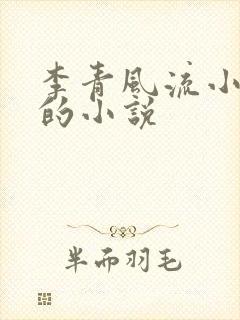 李青风流小农民的小说